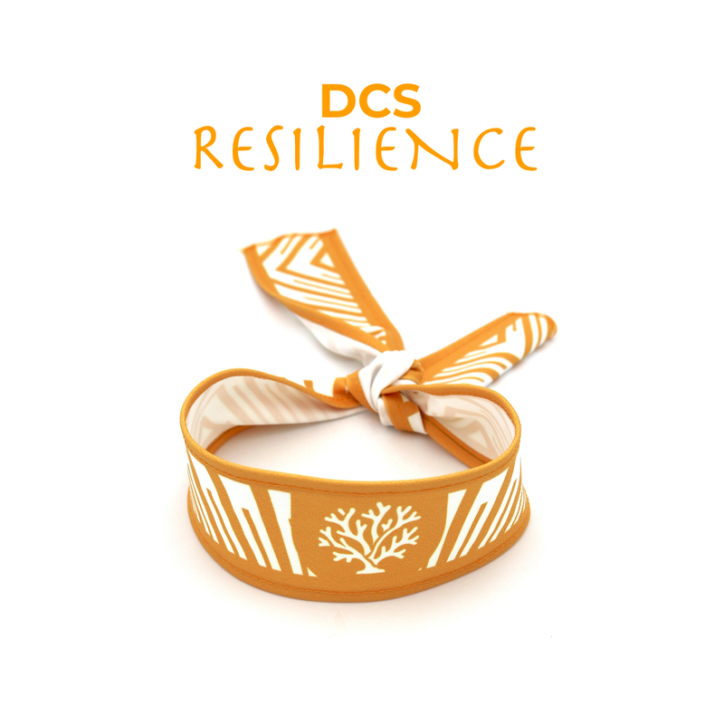 Bandana DCS Resilience House (AM)