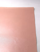 Papel Perlado 50*70 Cm C/10 Lam Natural