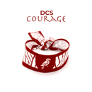 Bandana DCS Courage House (RJ)