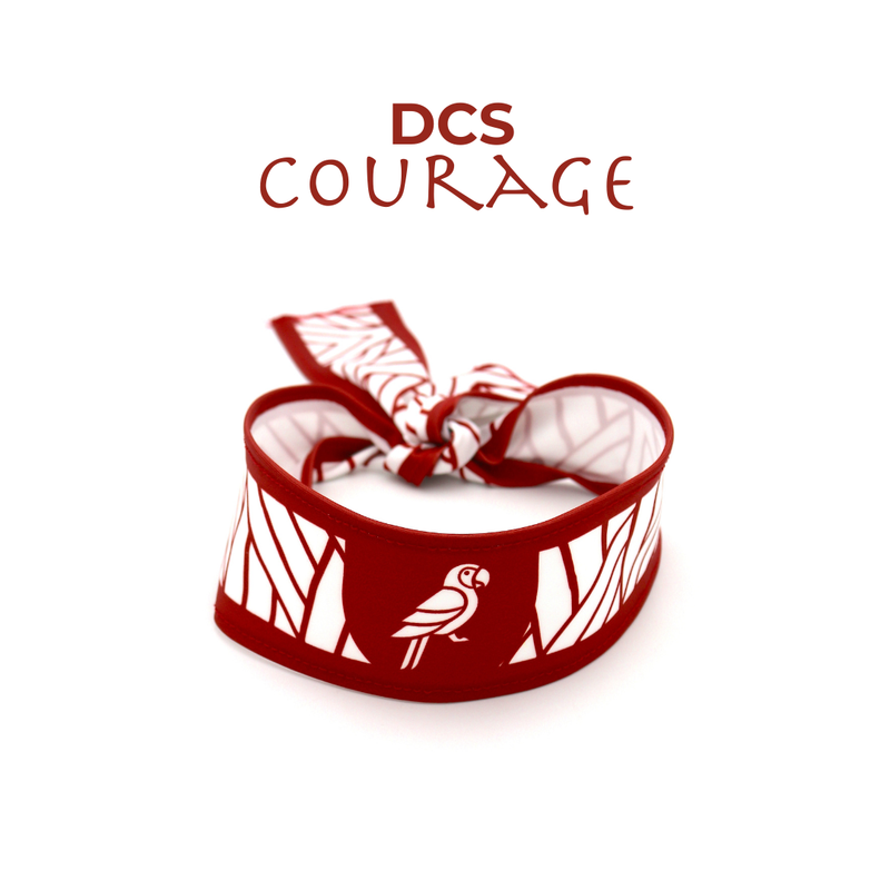 Bandana DCS Courage House (RJ)