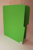 Folder Color Verde Claro (10) T/ Carta Facela Paq. 100 Unid