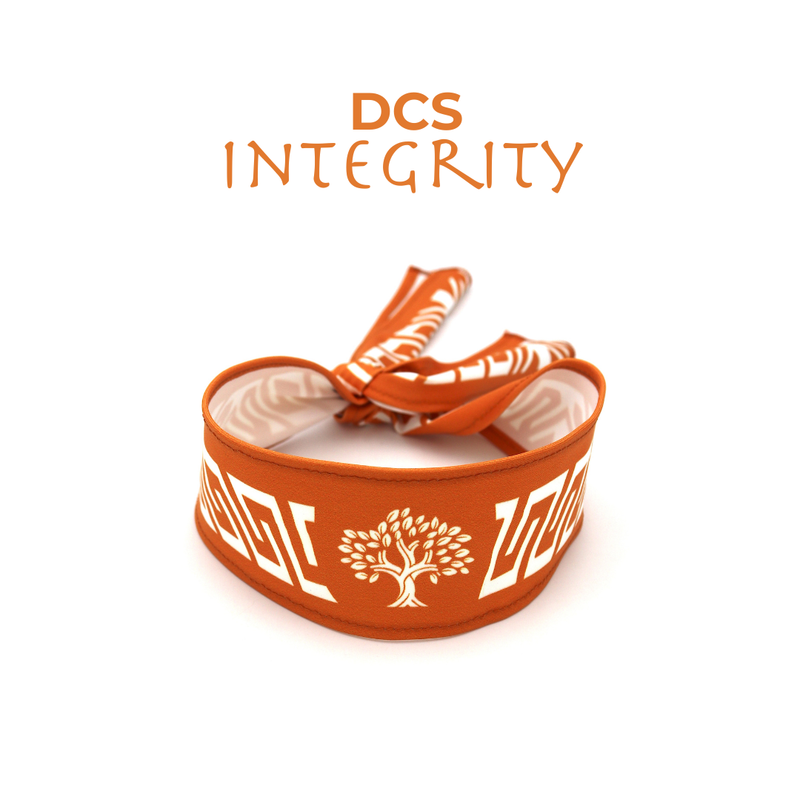 Bandana DCS Integrity House (NA)