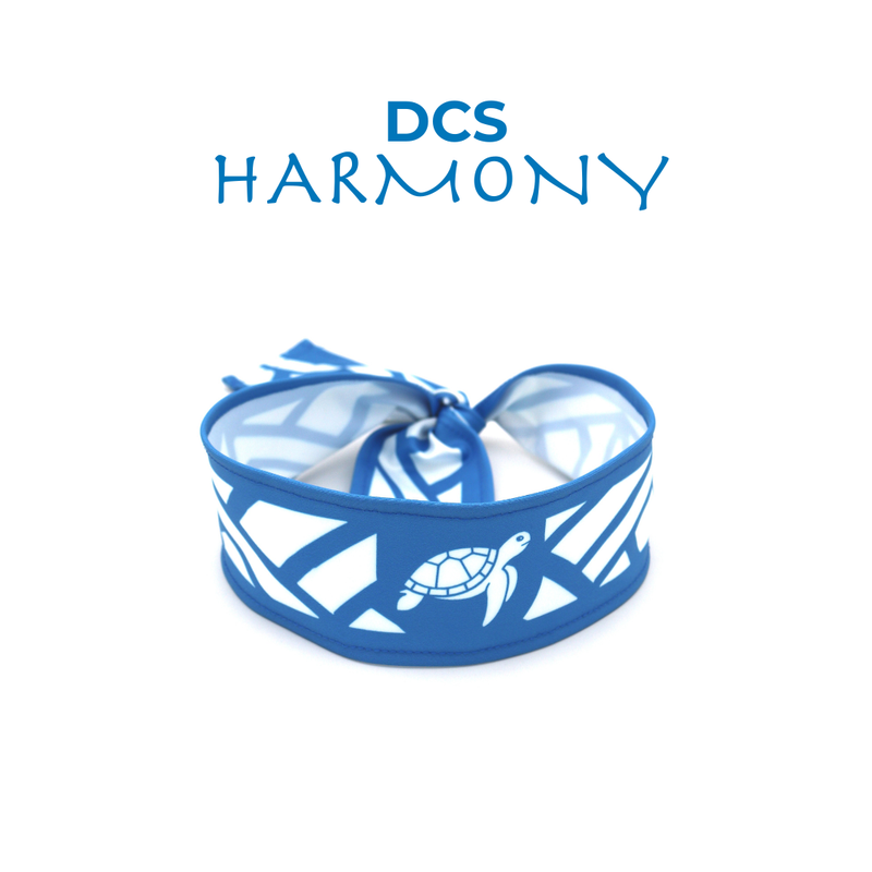 Bandana DCS Harmony House (AZ)