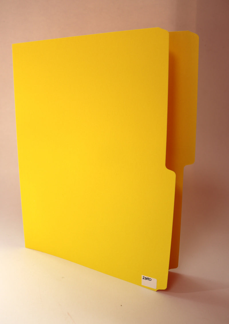 Folder Color Amarillo Limon (6) T/ Carta Facela Paq. 100 Unid