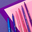 Marcador Pinto Estuche 6